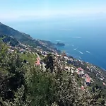 The