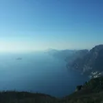 The *